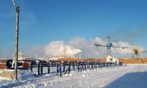 Линия сортировки бревен