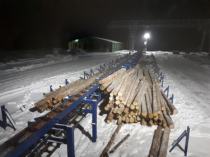Линия сортировки в работе