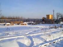 Линия сортировки бревен